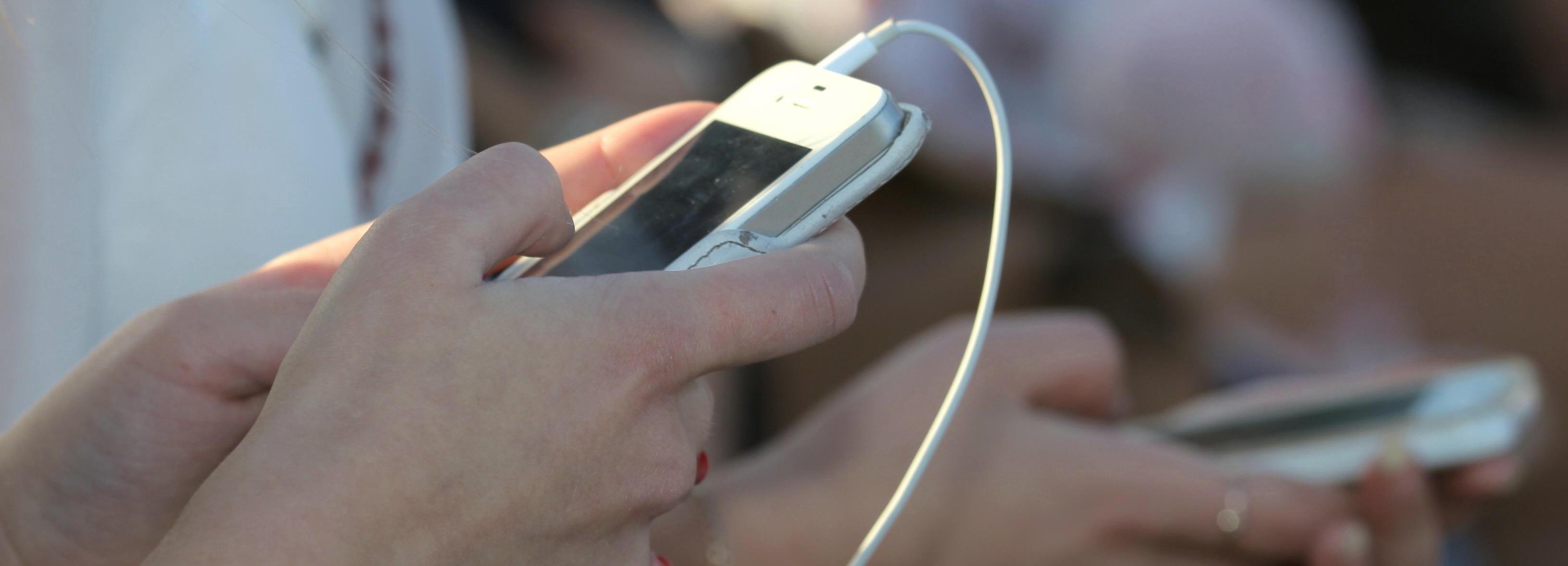 Новосибирская область подала заявку на выборы президента через Госуслуги