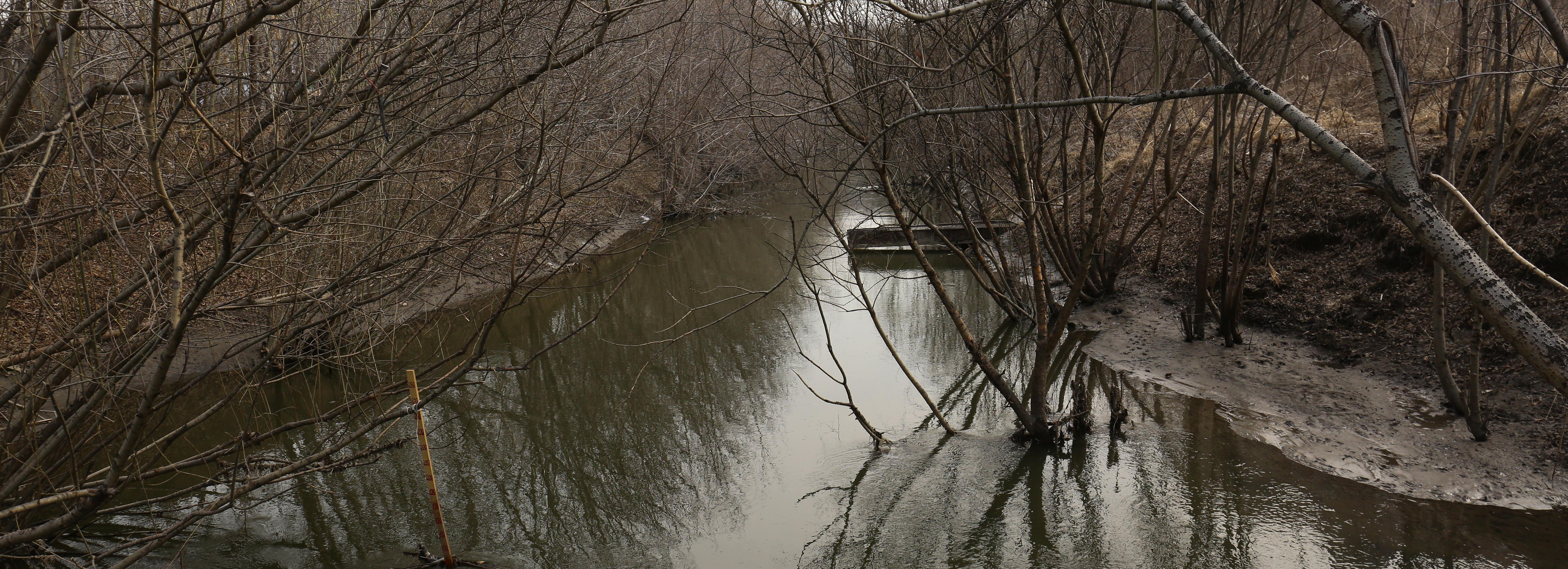 На Кошурникова ограничат парковку ради парка в пойме Каменки