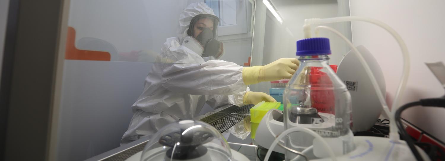 Новый штамм «омикрон» привезли для изучения в Новосибирск