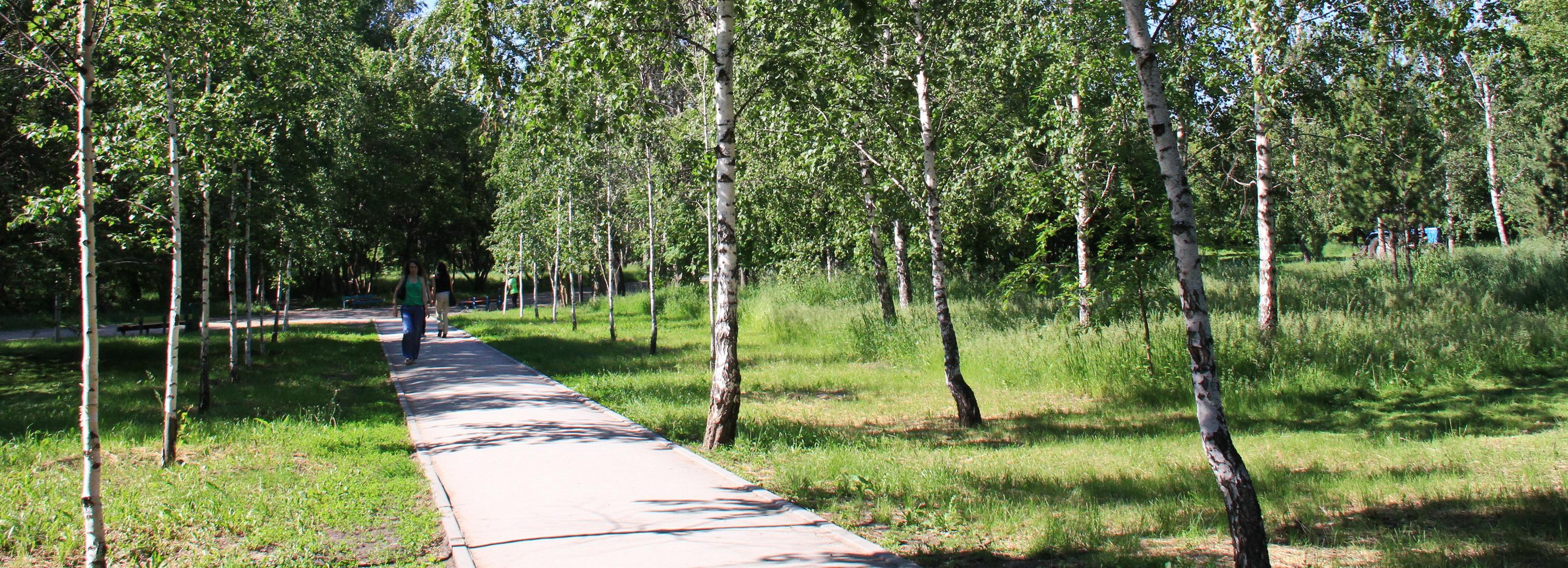 В Новосибирске появились Грибоедовский бульвар и сквер Прибаловца