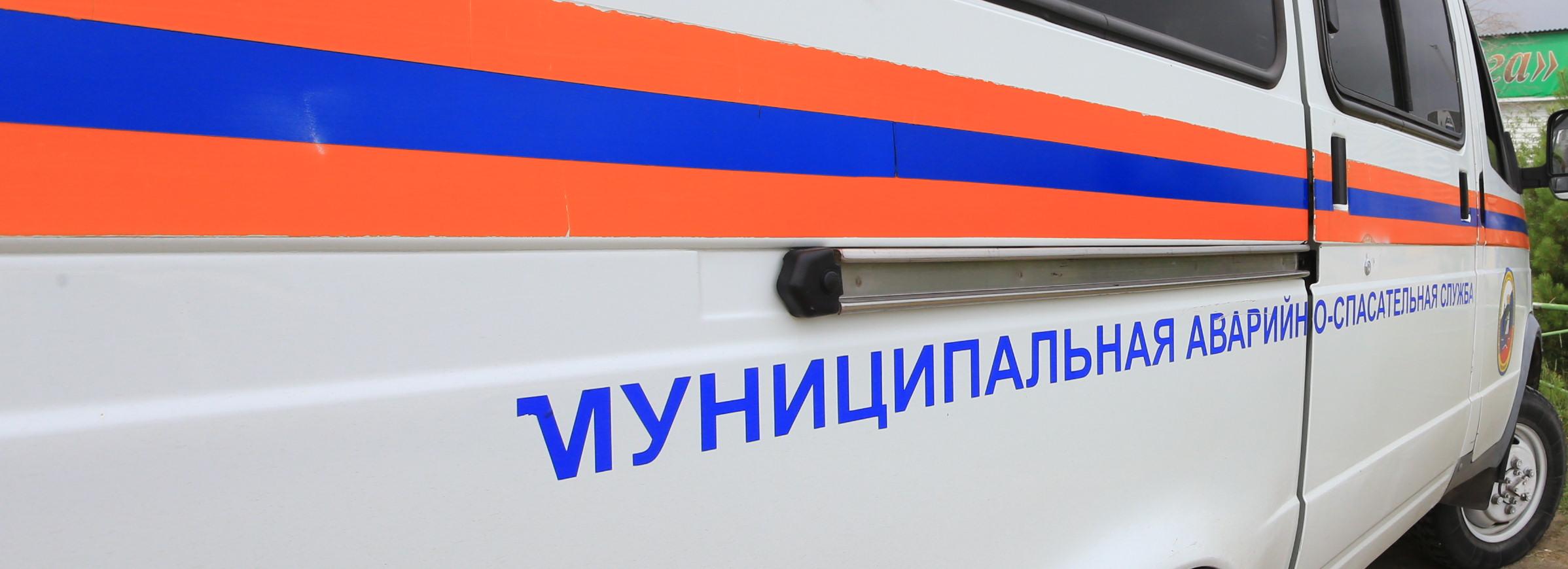 Собака случайно заперла хозяйку на балконе квартиры в Новосибирске