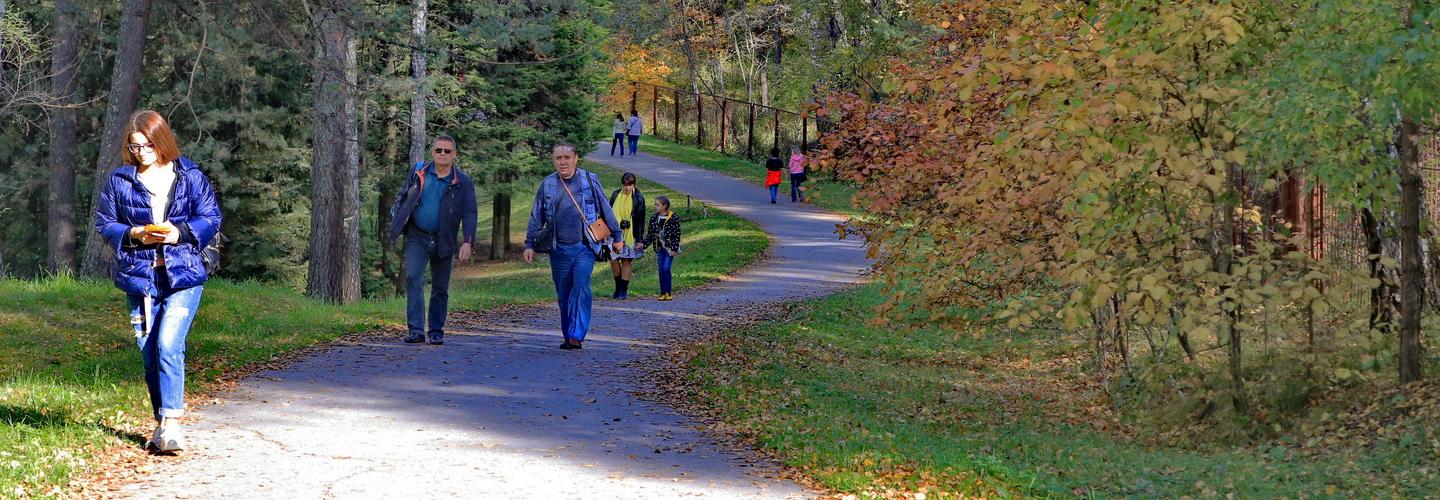 Новосибирцы просят полицию и власти разгонять массовые скопления людей
