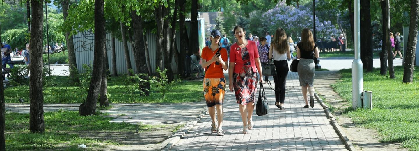 Тепло и сухо: антициклон несёт в Новосибирск прохладу