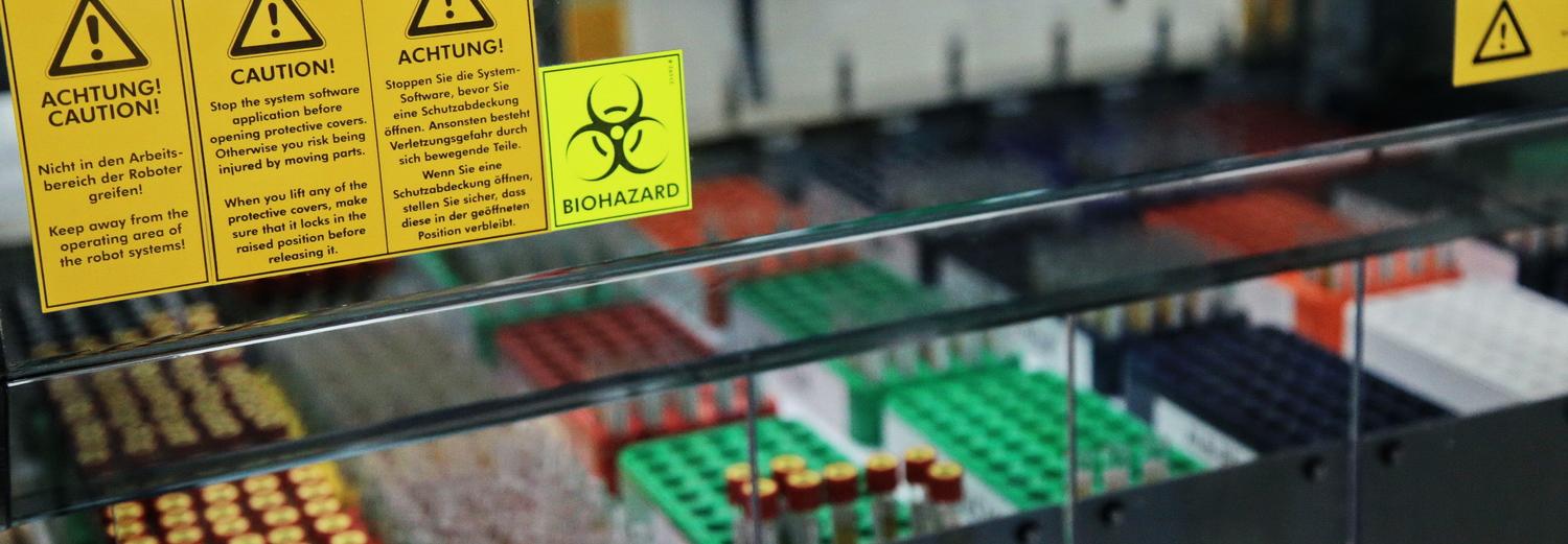 Наука без микроскопов: как работают учёные на самоизоляции