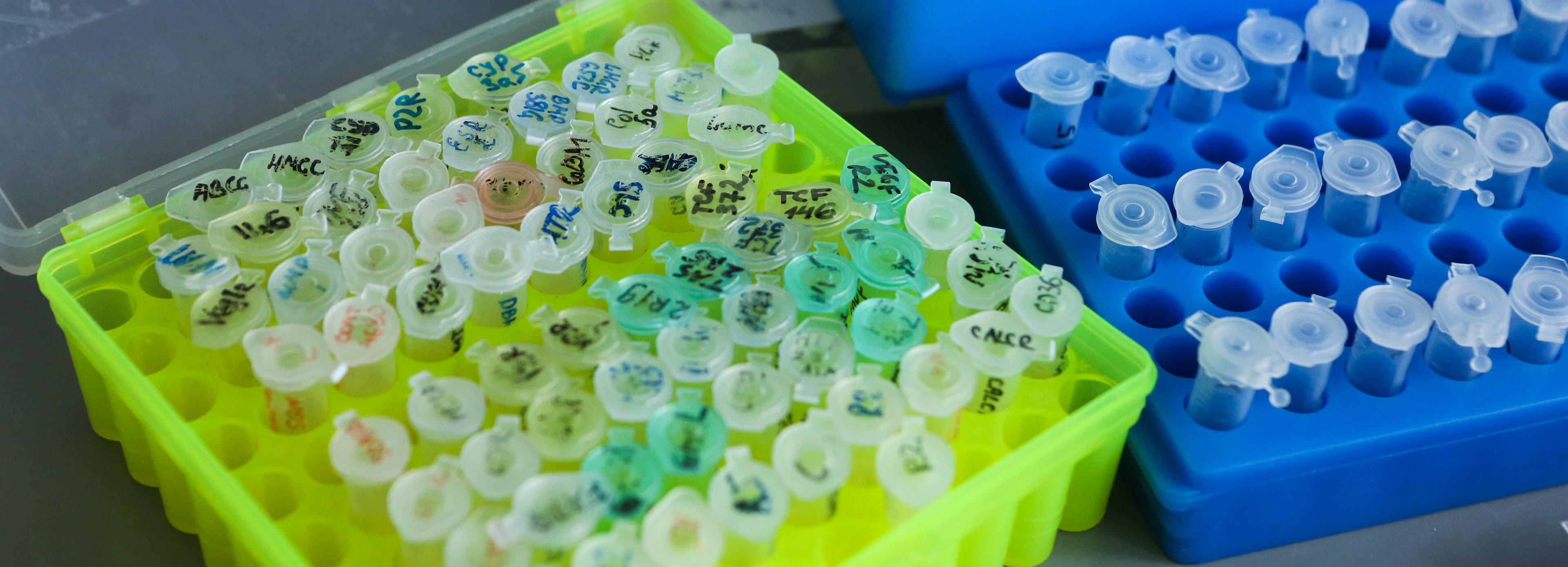 Лабораторию для изучения опасных вирусов построили в Дзержинском районе