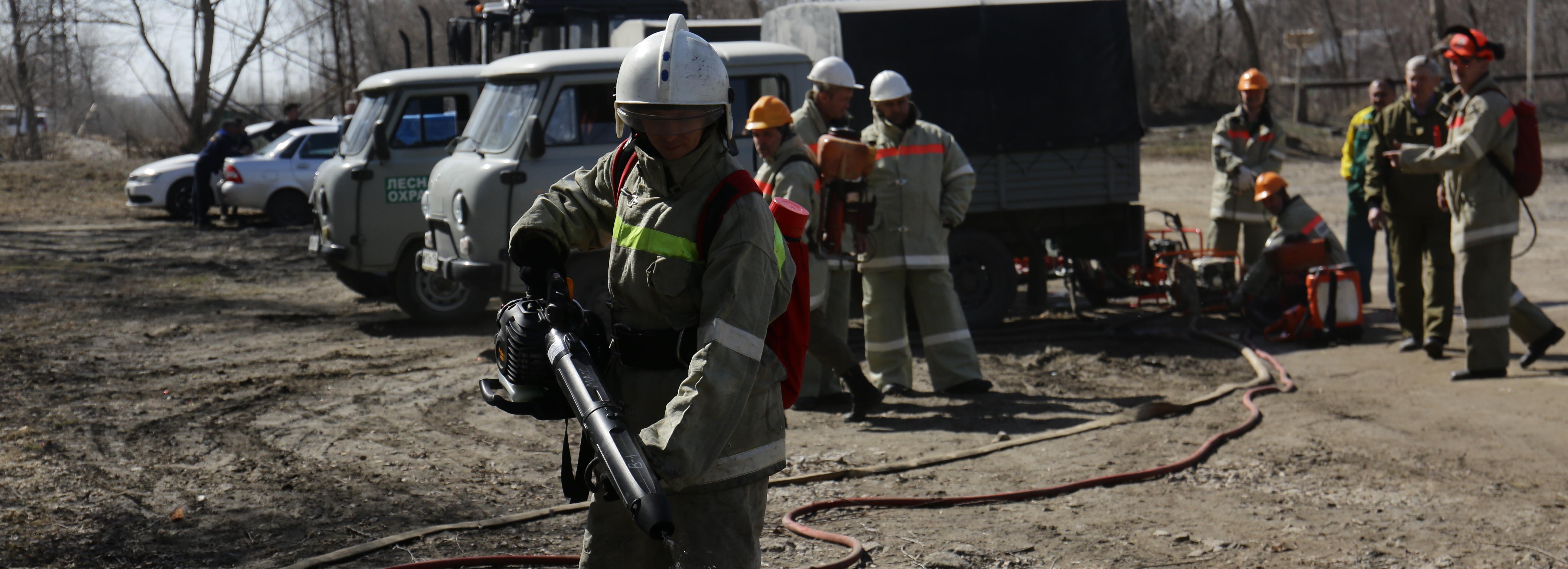Клещи и лесные пожары угрожают Новосибирску в апреле