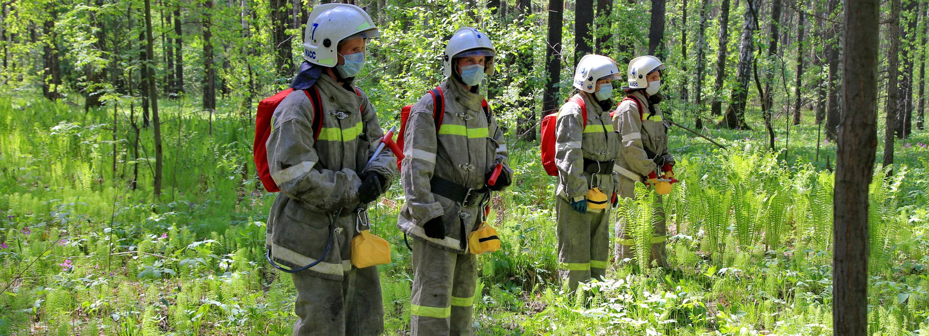 Новосибирцев предупредили о гигантских штрафах за поджоги травы
