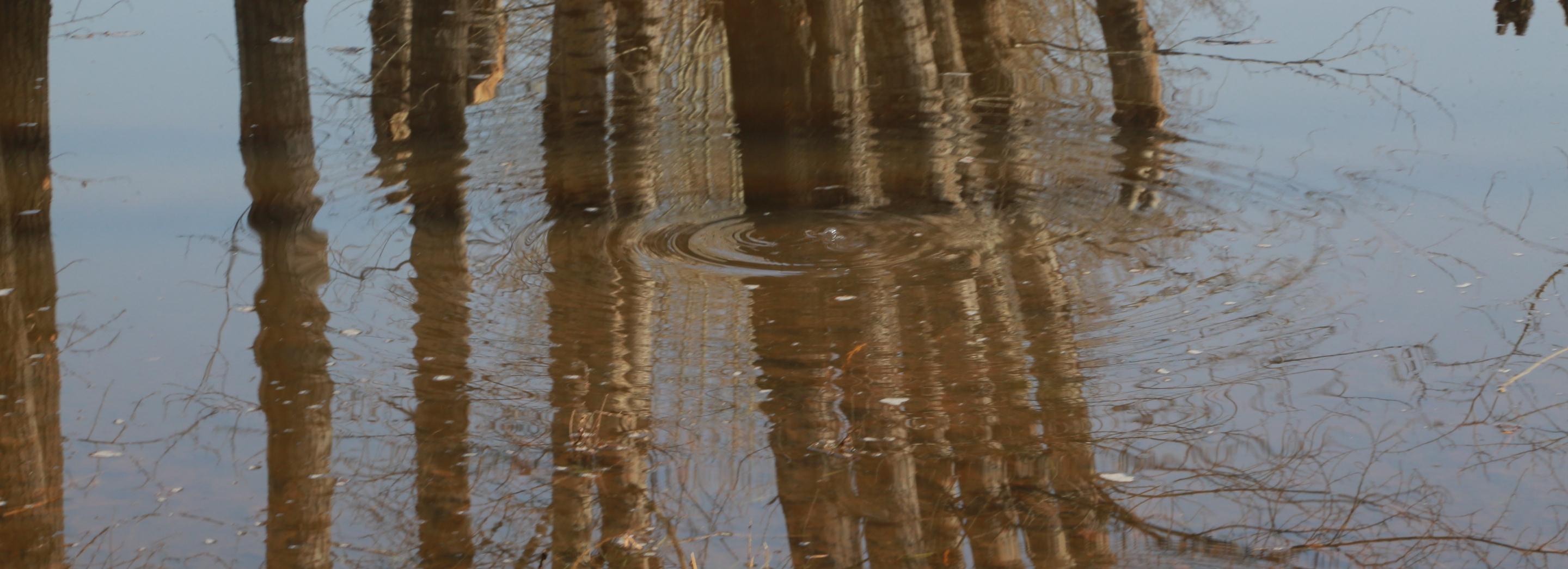 Городские службы следят за подтопленными дачами в Первомайке