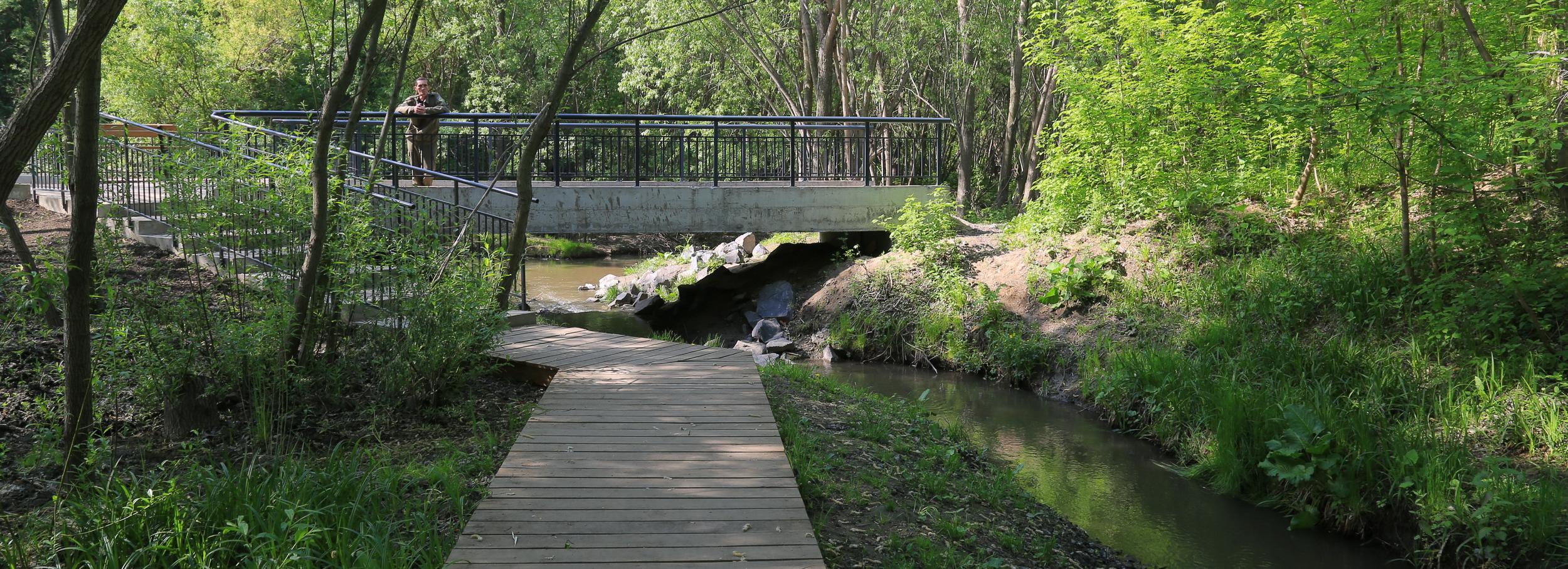 Первые в России: как создают водно-зелёный каркас Новосибирска