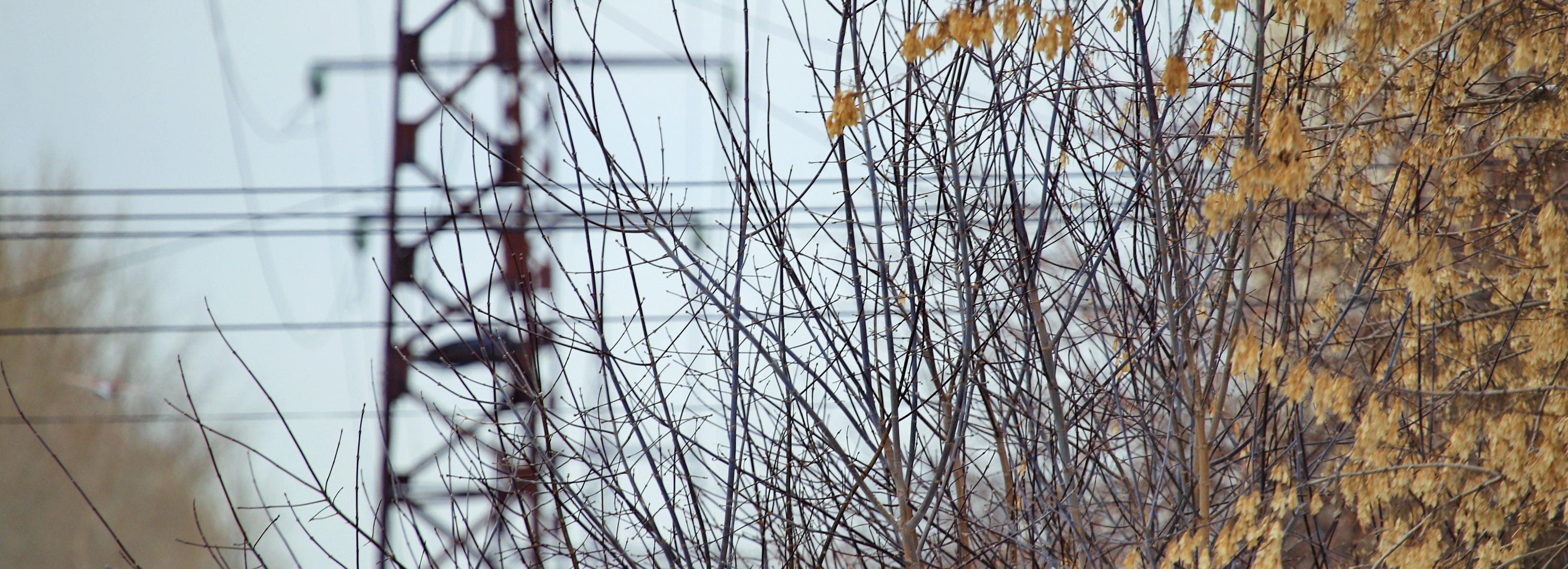 У погранпункта «Павловка» заменили ЛЭП за 900 тысяч рублей