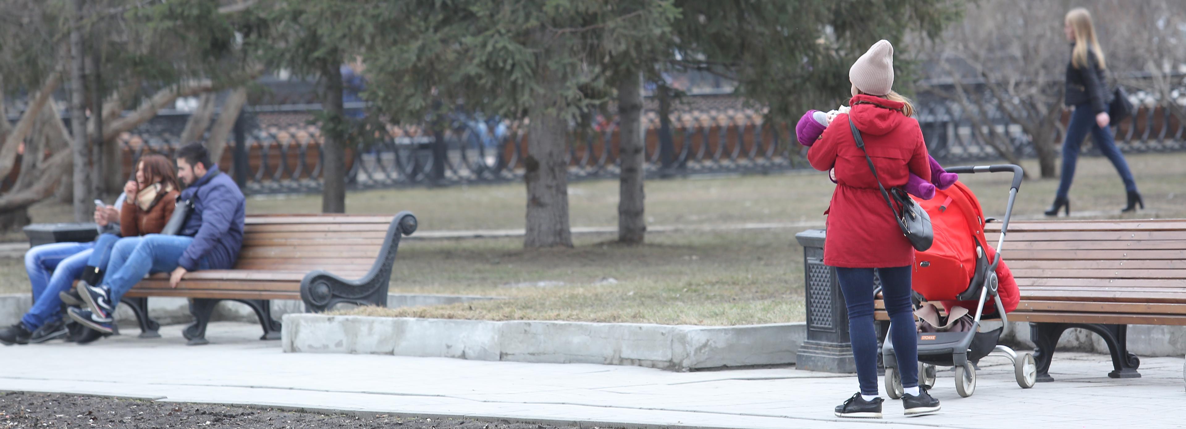 О падении деревьев из-за сильного ветра предупредили новосибирцев