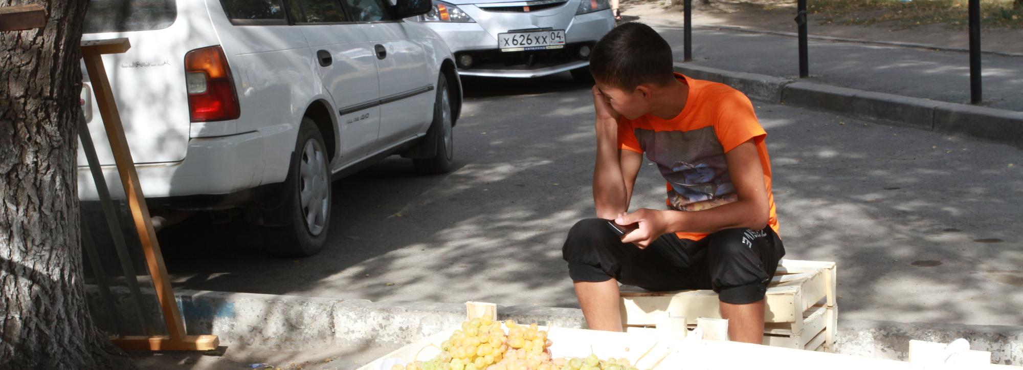 Бастрыкин заинтересовался незаконной миграцией в Новосибирске