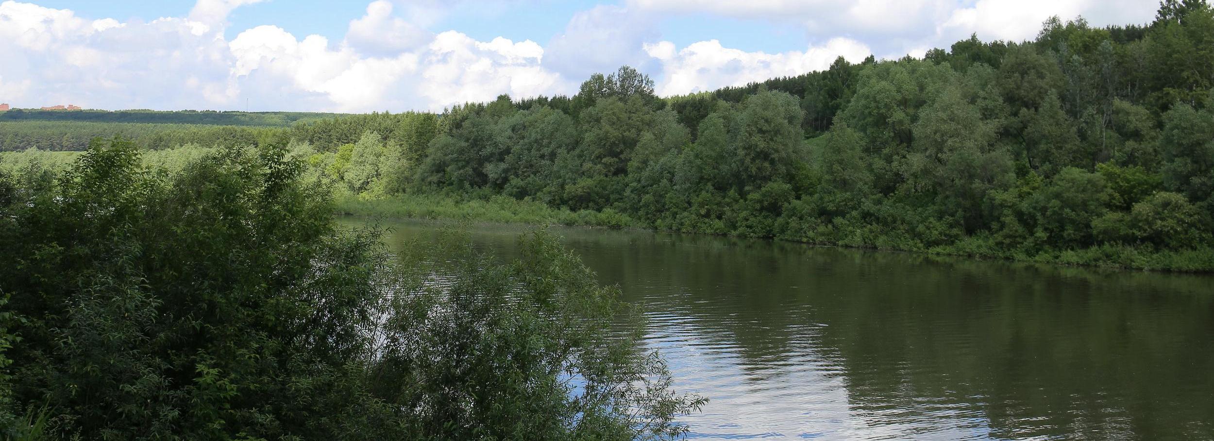 Парк длиннее Михайловской набережной создадут возле реки Ини