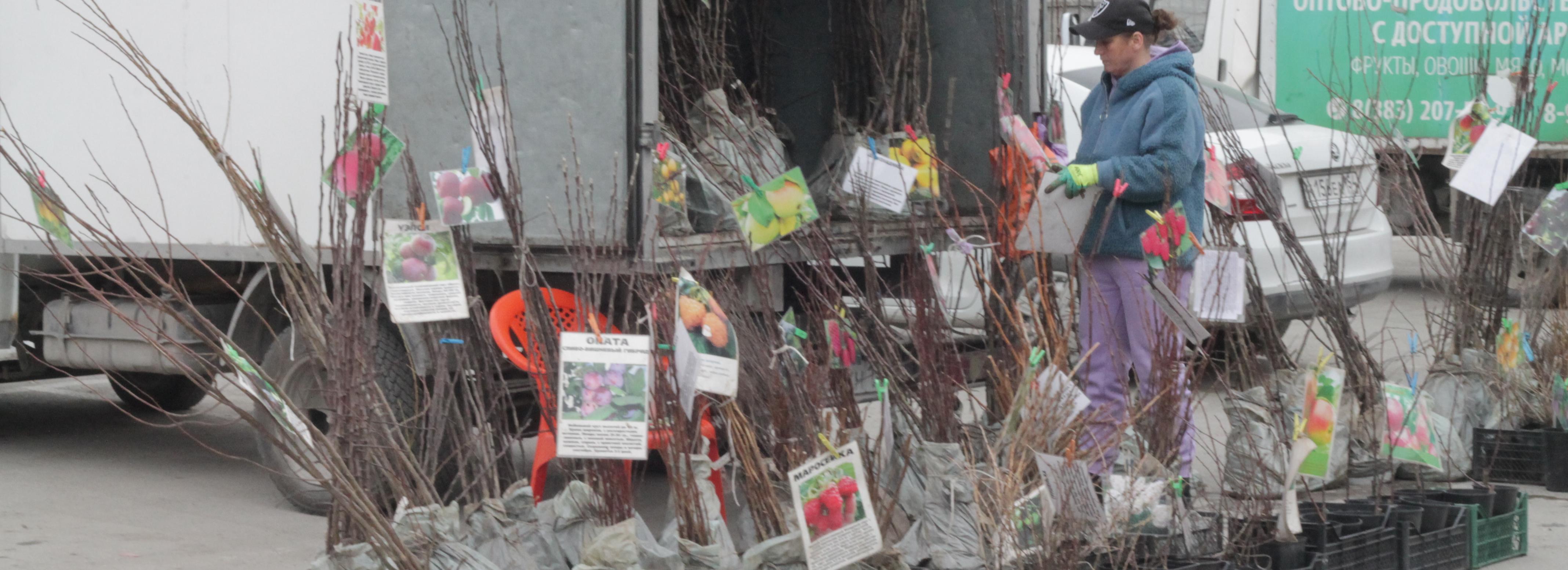 Ярмарки с товарами для дачников развернут в пяти районах Новосибирска