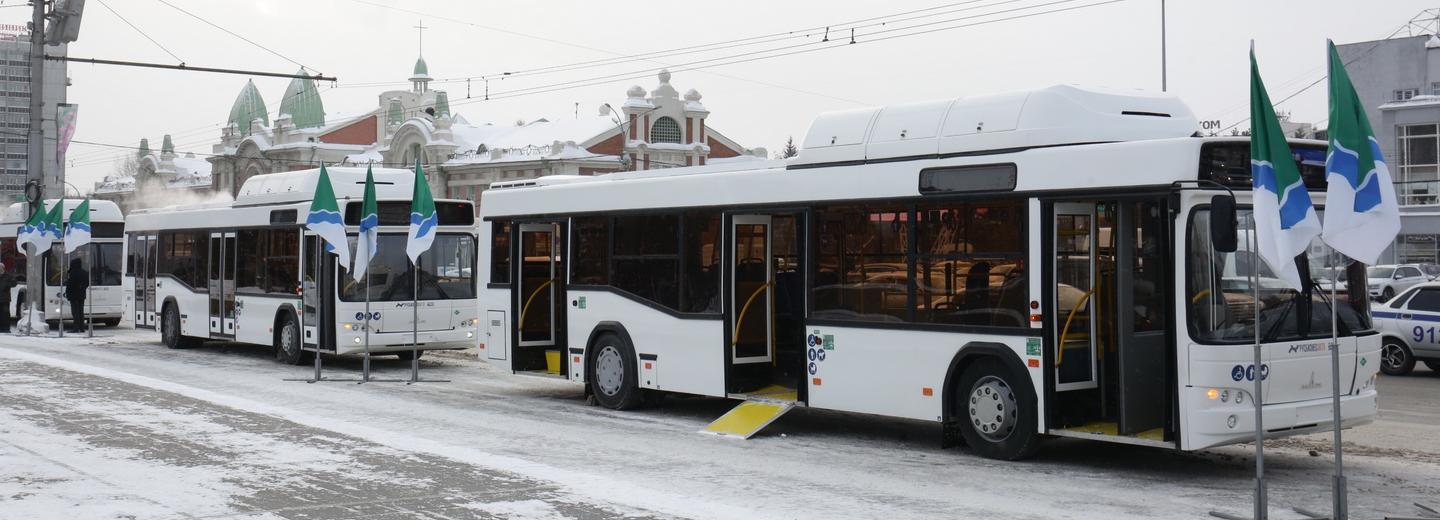 Строго по графику: как ездит автобус №54 после перевода на контракт