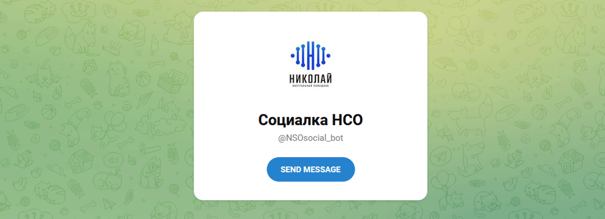 Новосибирский голосовой помощник Николай стал социальным чат-ботом