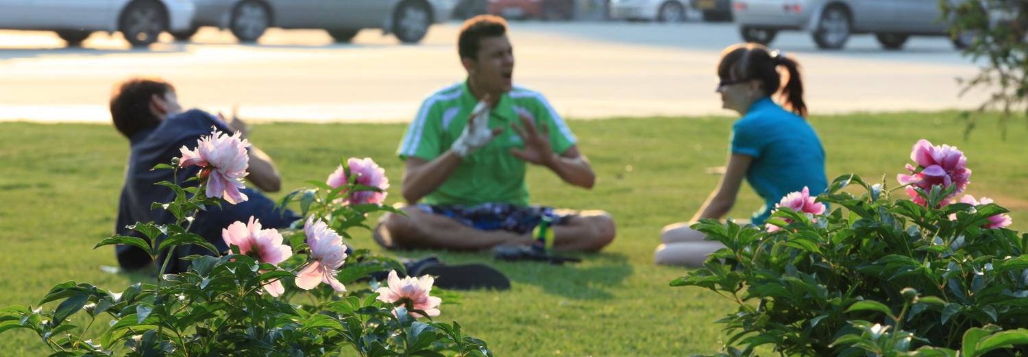 Конец мая в Новосибирске будет прохладным — синоптики