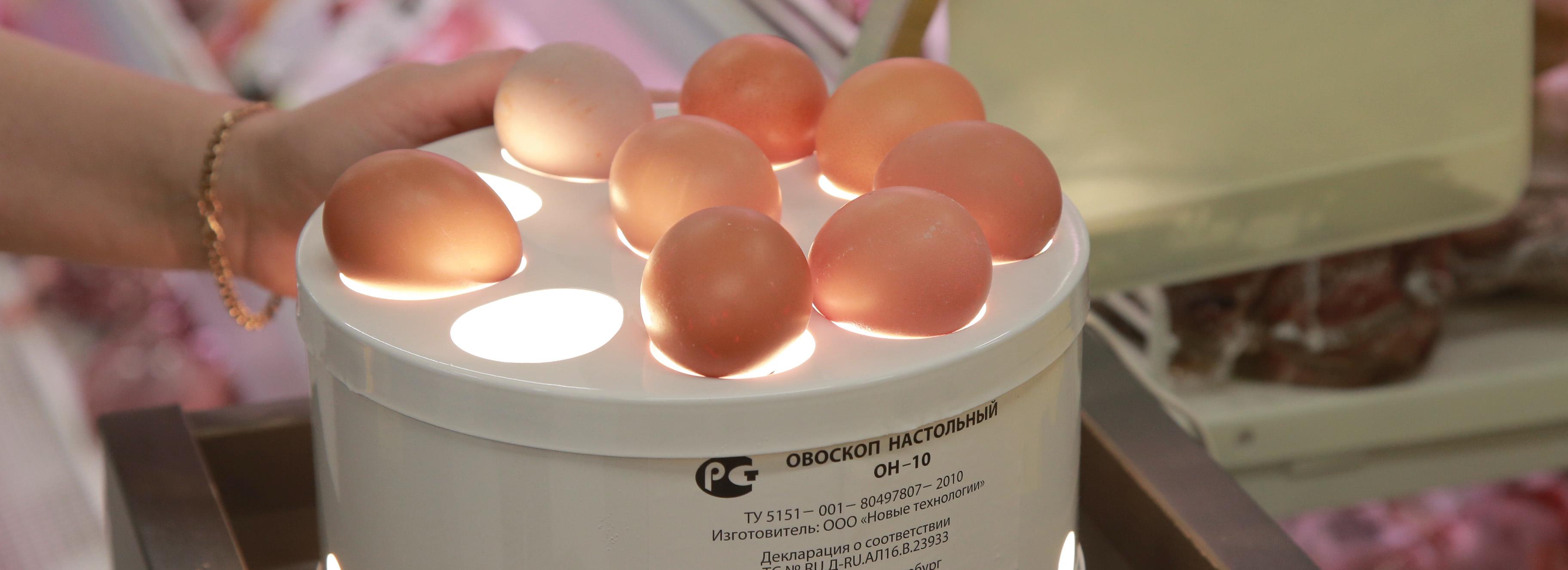 Яйца начали дешеветь в Новосибирске — минсельхоз региона