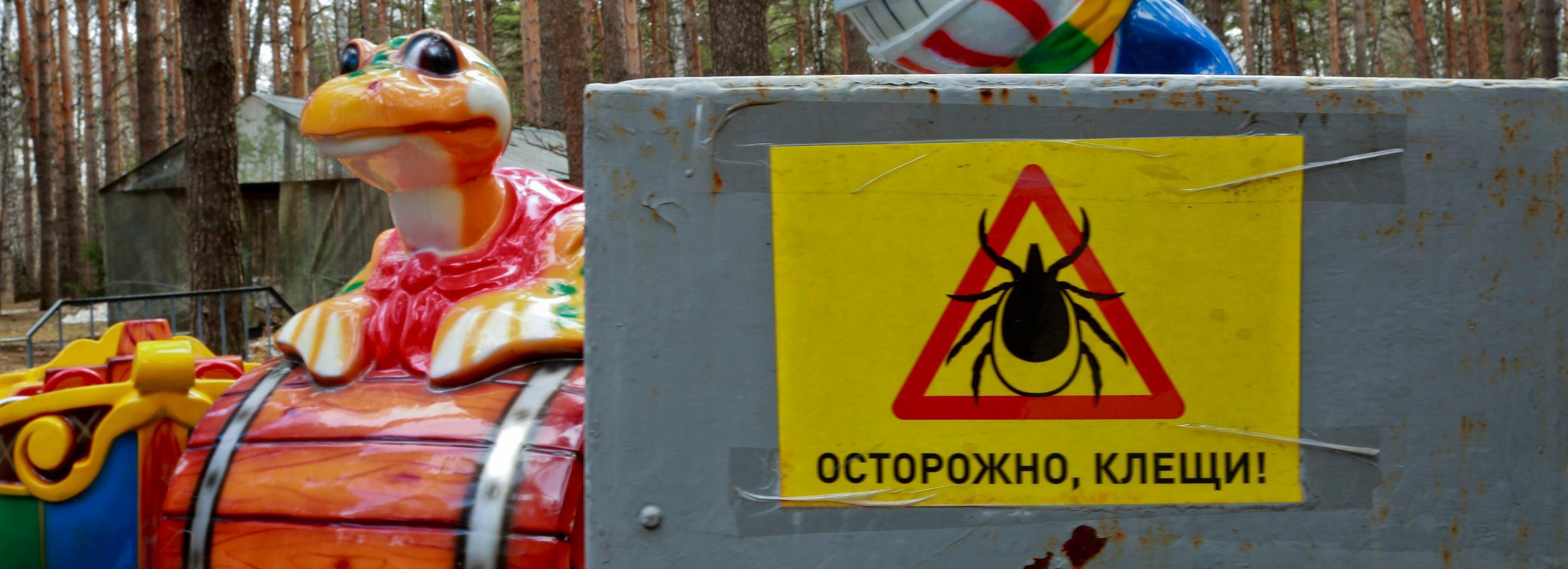 58 новосибирцев заразились клещевым энцефалитом в этом году