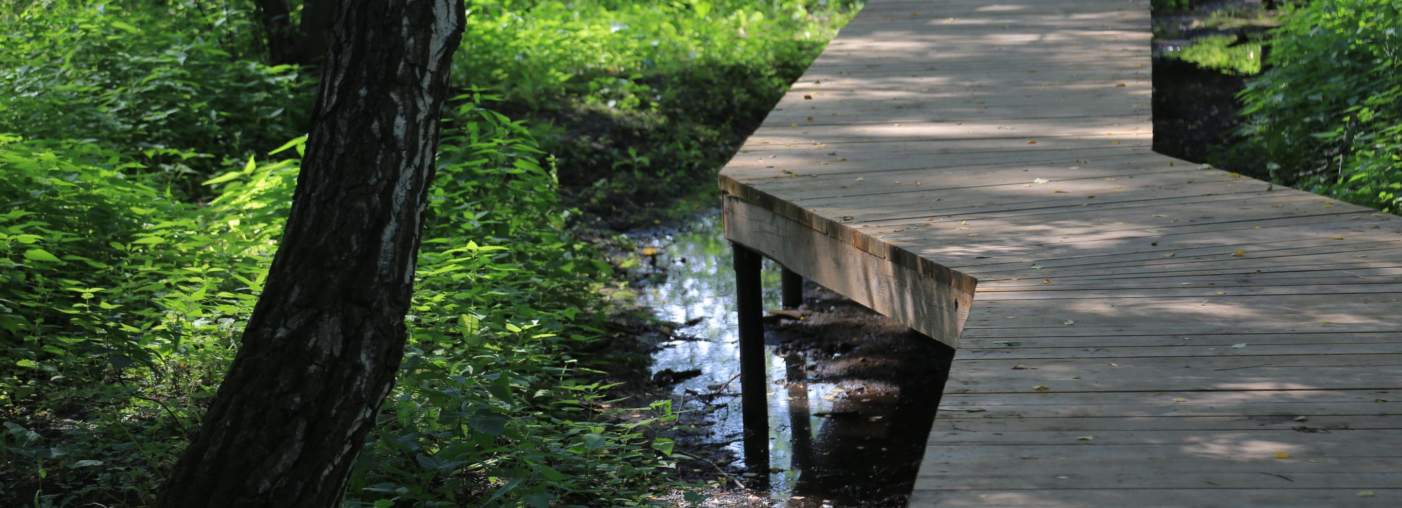 Новосибирцы могут предложить парк для благоустройства по нацпроекту