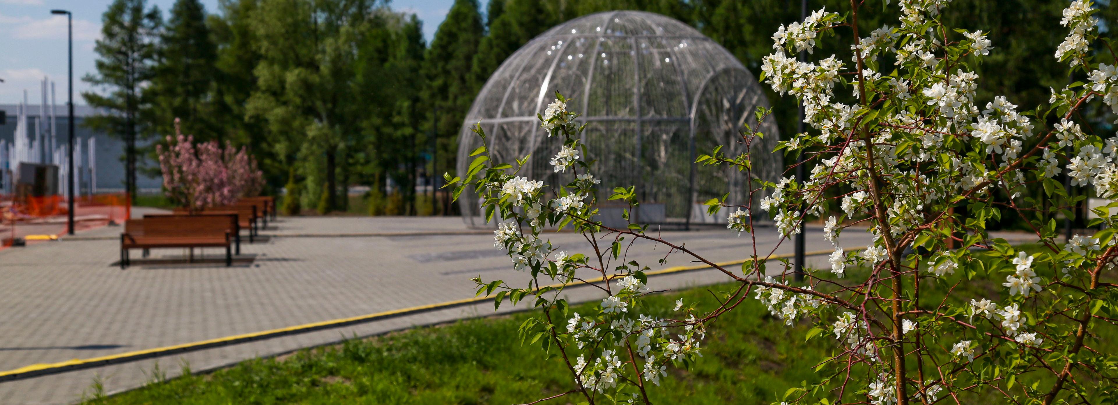 Зелёный Новосибирск: чем привлекает горожан парк возле нового ЛДС