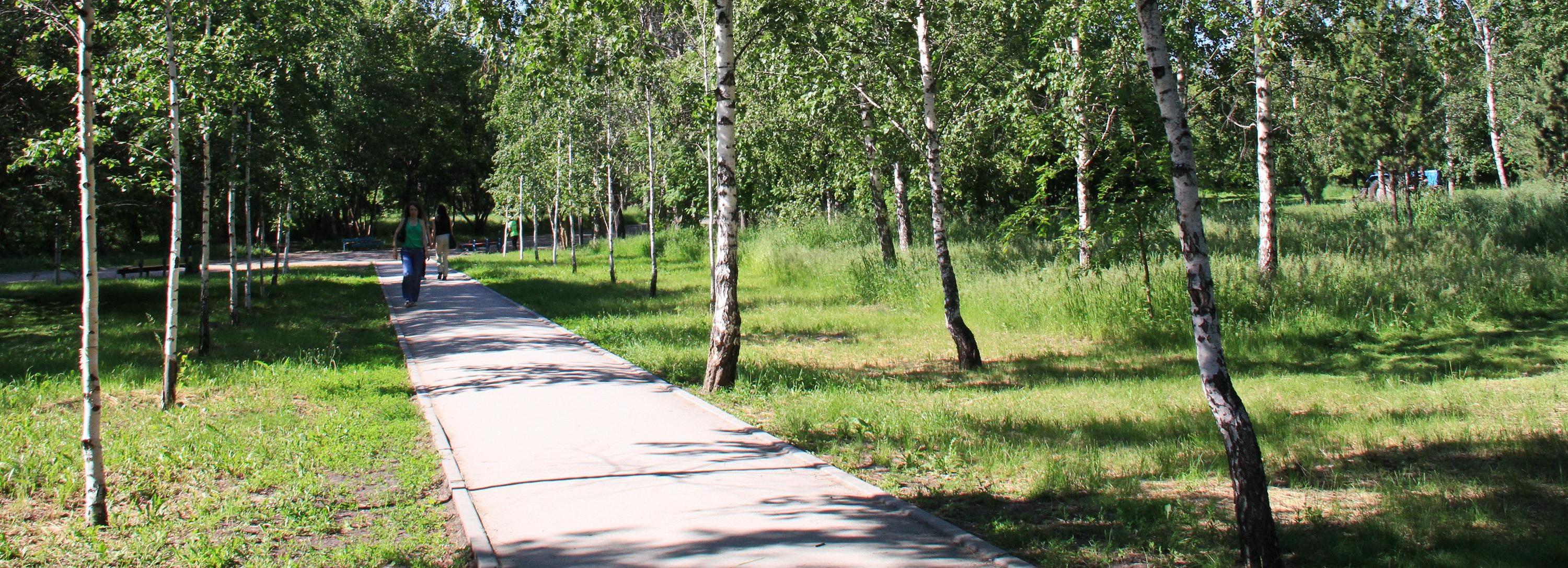 Премию «Экология — дело каждого» раздадут неравнодушным к природе