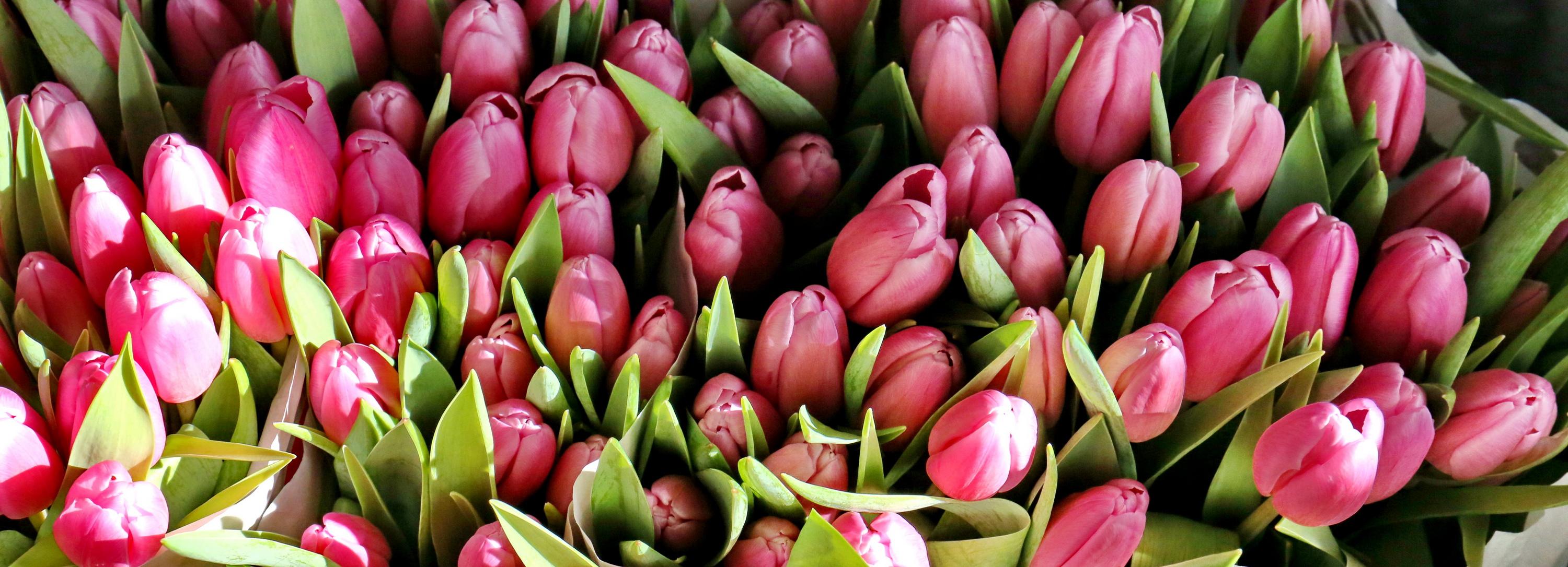 Около 120 тонн цветов ввезли в Новосибирск к 8 Марта