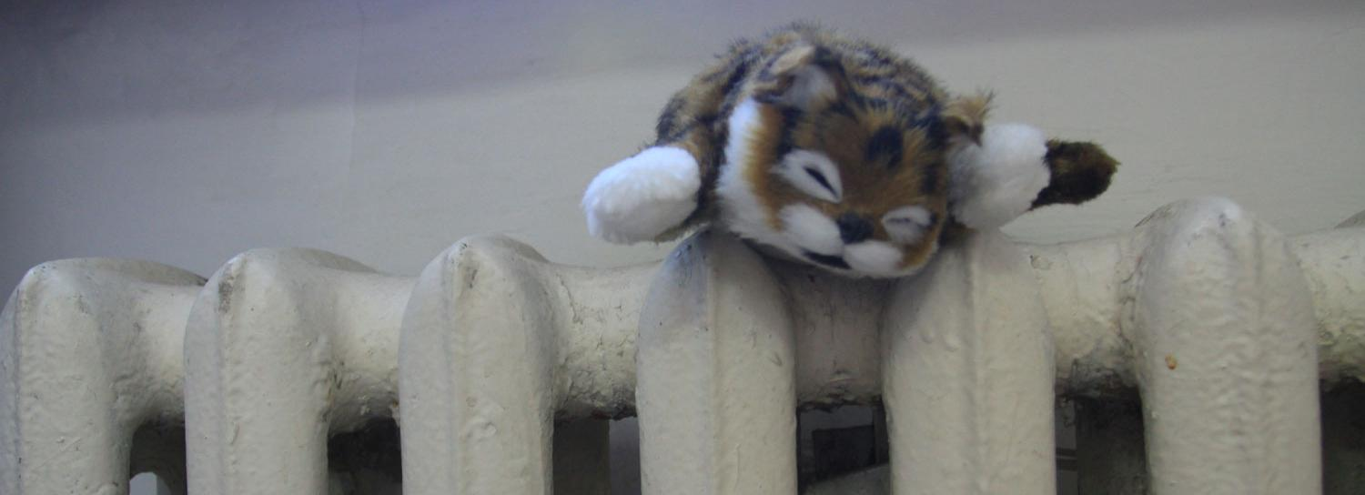 Из-за похолодания СГК готова включить отопление у 90% жителей Новосибирска