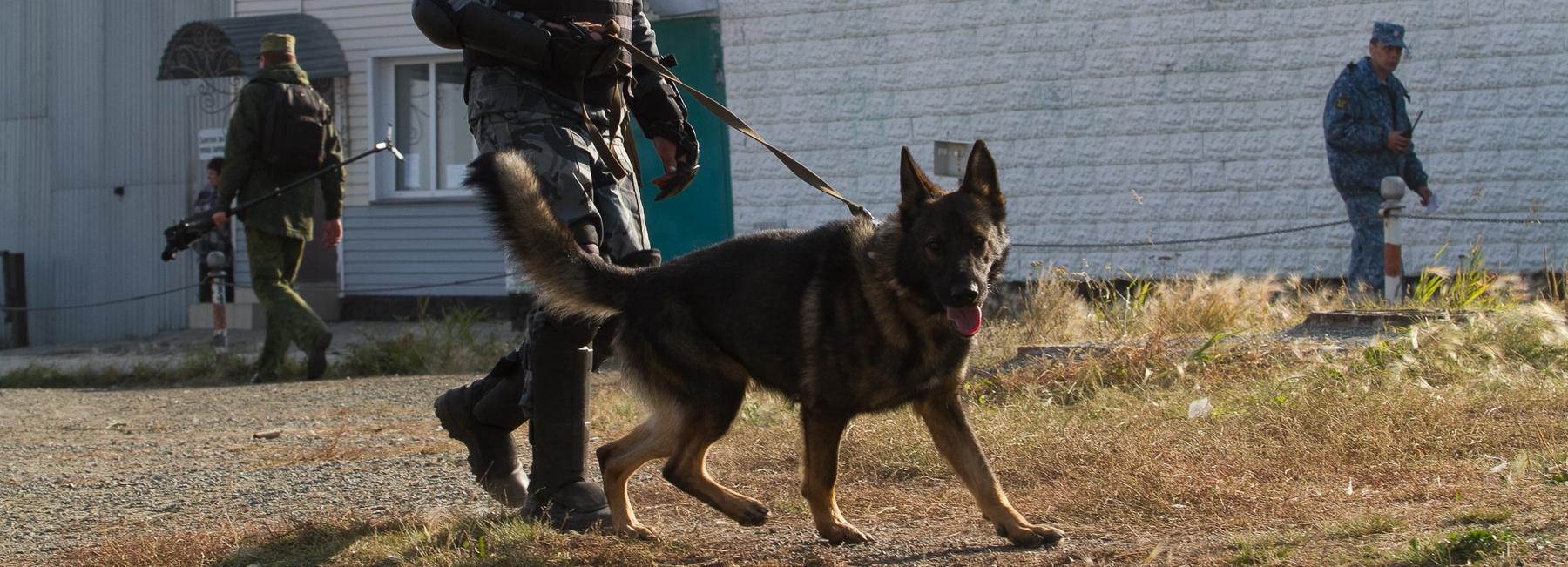 Пропитанные героином носки обнаружили в новосибирском СИЗО