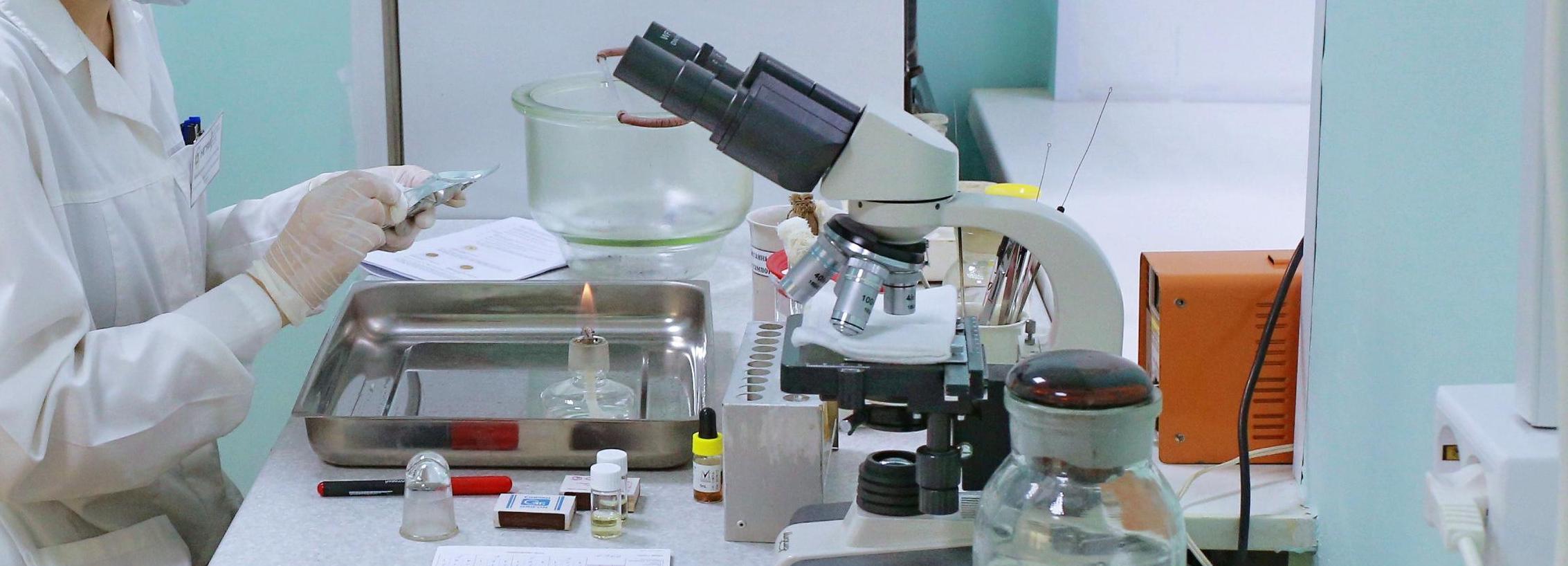 Крайне важный для медицины фермент из хрена пытаются получить учёные