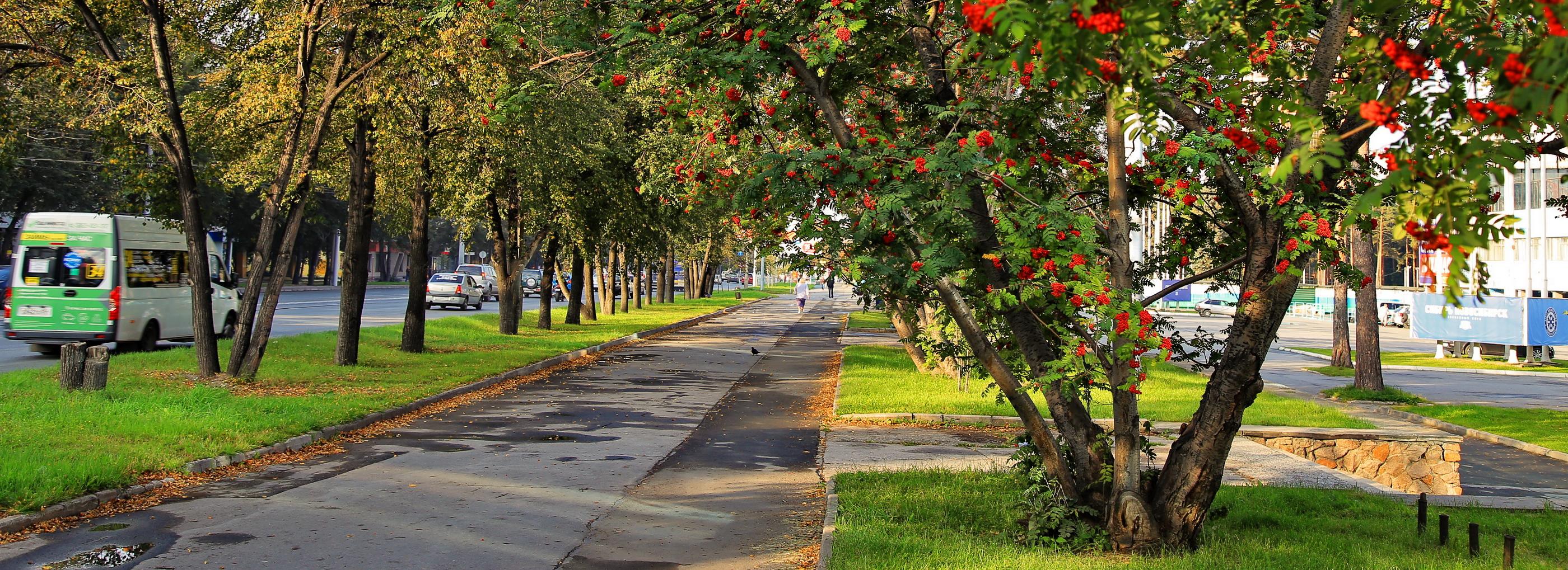 После дождливой погоды в Новосибирск придёт 26-градусная жара