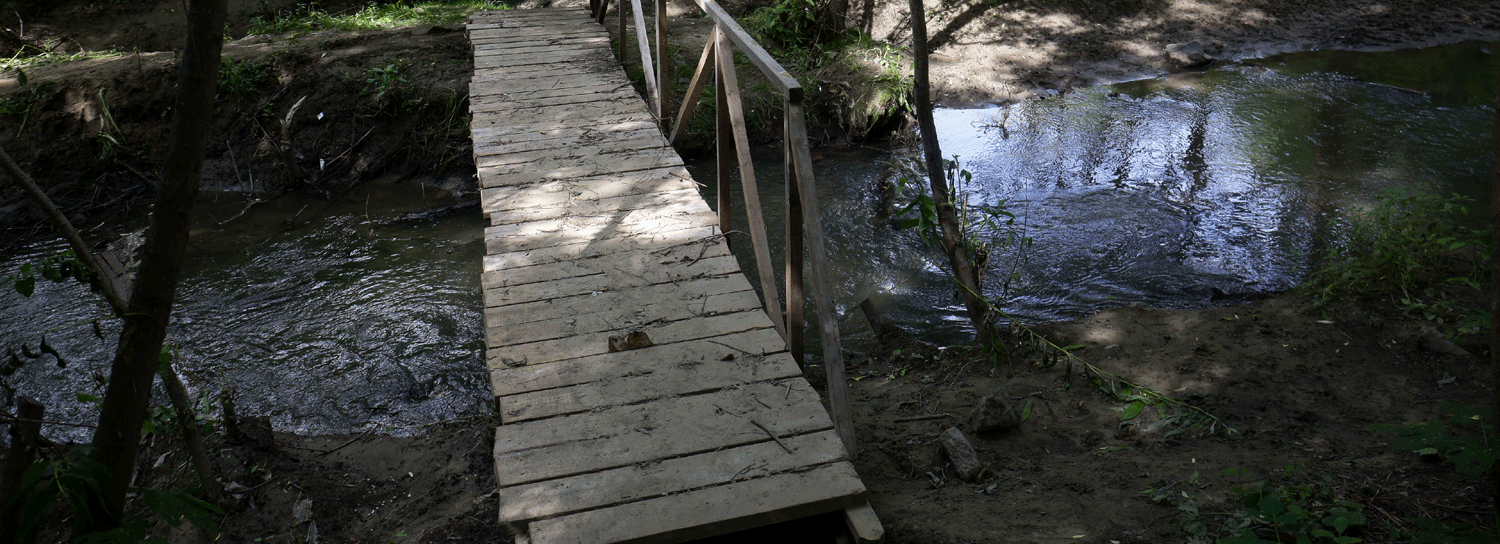 Создание парка в пойме Ельцовки обсудят на «Балконе»