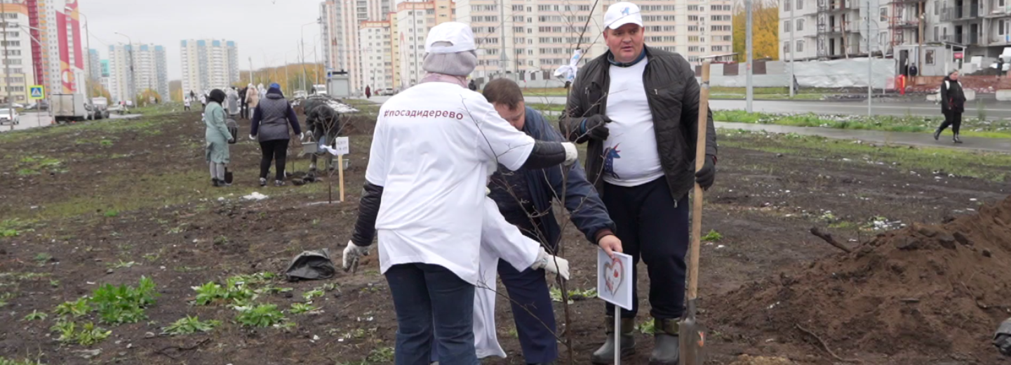 Аллею педагогов с 63 липами высадили в Матрёшкином дворе
