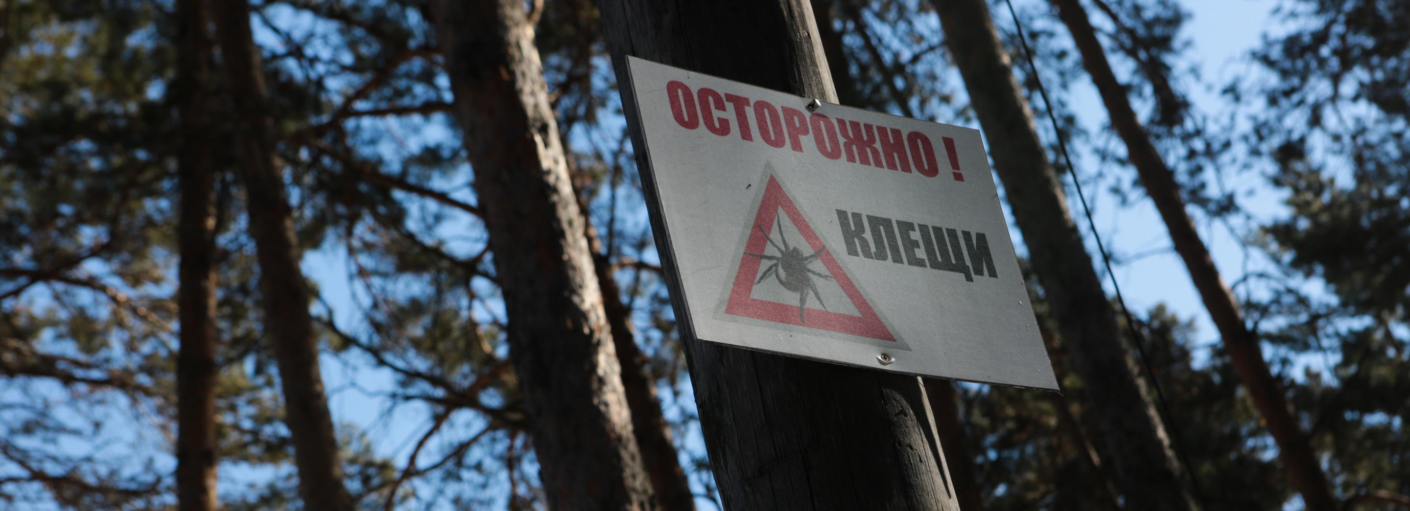 С подозрением на клещевой энцефалит госпитализированы двое новосибирцев