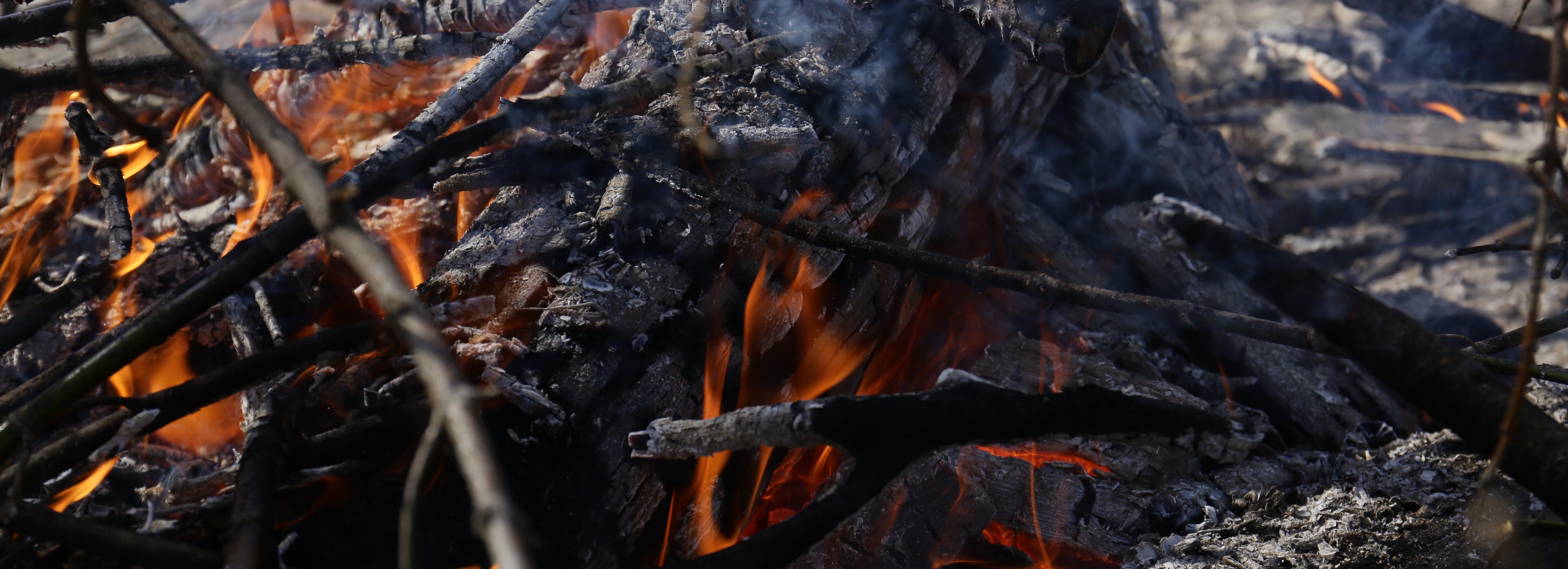 Число пожаров из-за палов травы выросло в 2,5 раза в Новосибирске