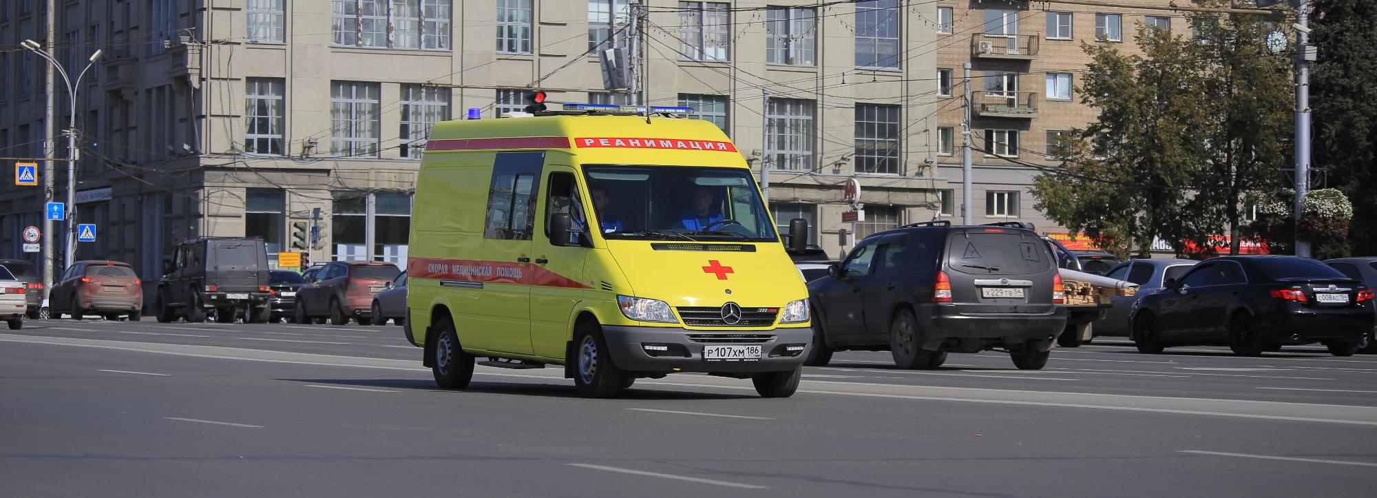 Лихорадку Денге нашли у пяти туристов из Новосибирской области