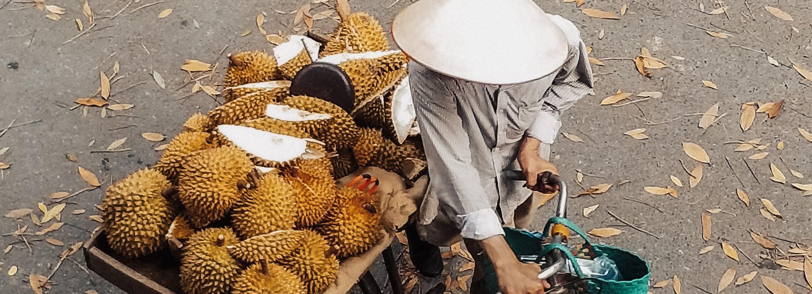 Большие партии дуриана и корня галанга везут в Новосибирск из Таиланда