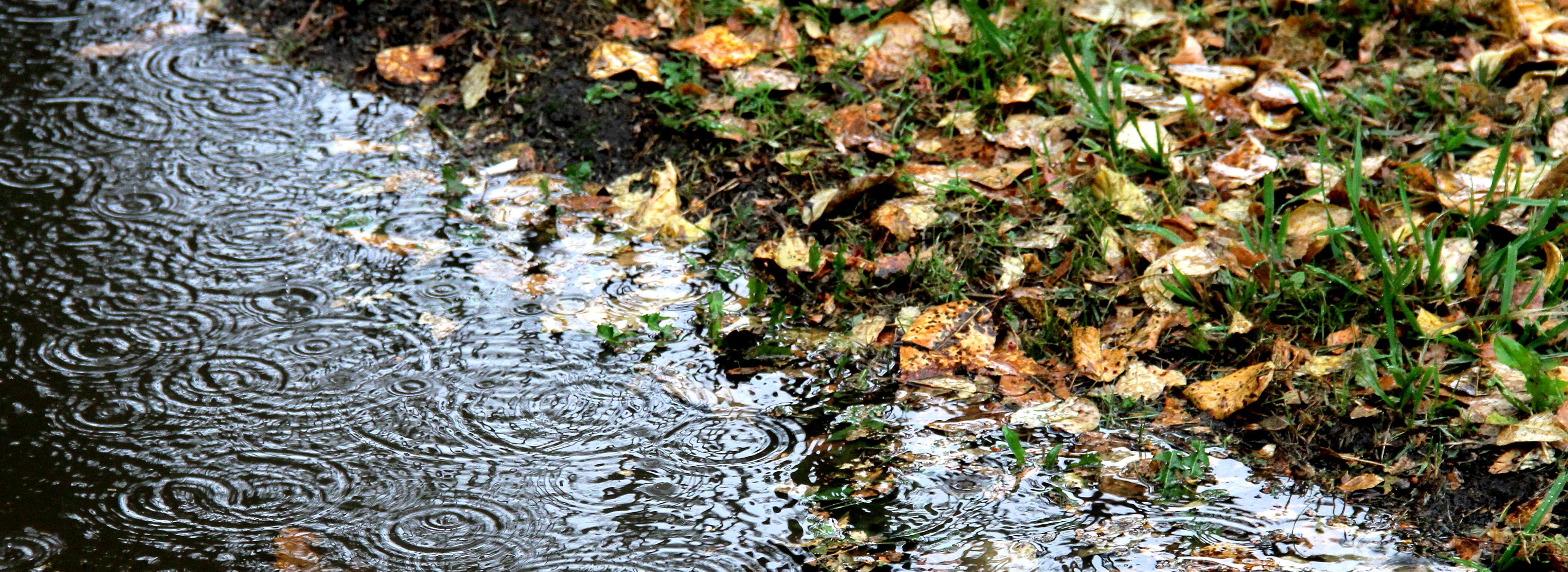 Сбивающий с ног ветер и волна холода ударят по Новосибирску в выходной