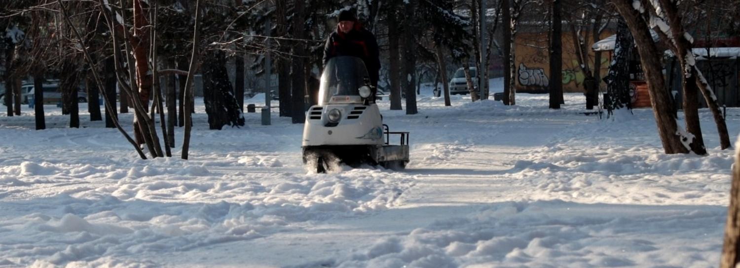 Покататься на лыжах можно будет в центре Новосибирска