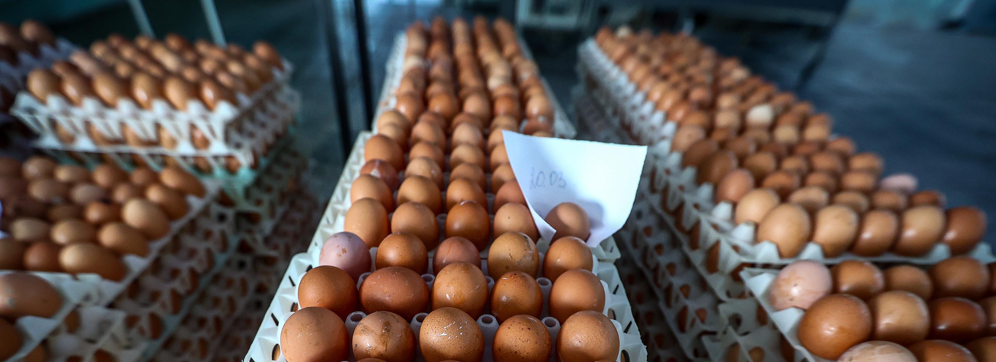 Цены на молоко, яйца и овощи заморозят до 30 июня в Новосибирске