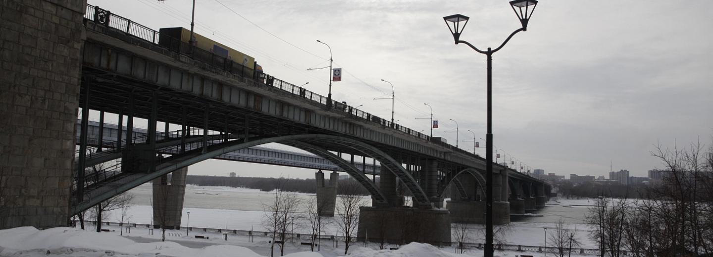 На Михайловской набережной начали сносить аварийные деревья
