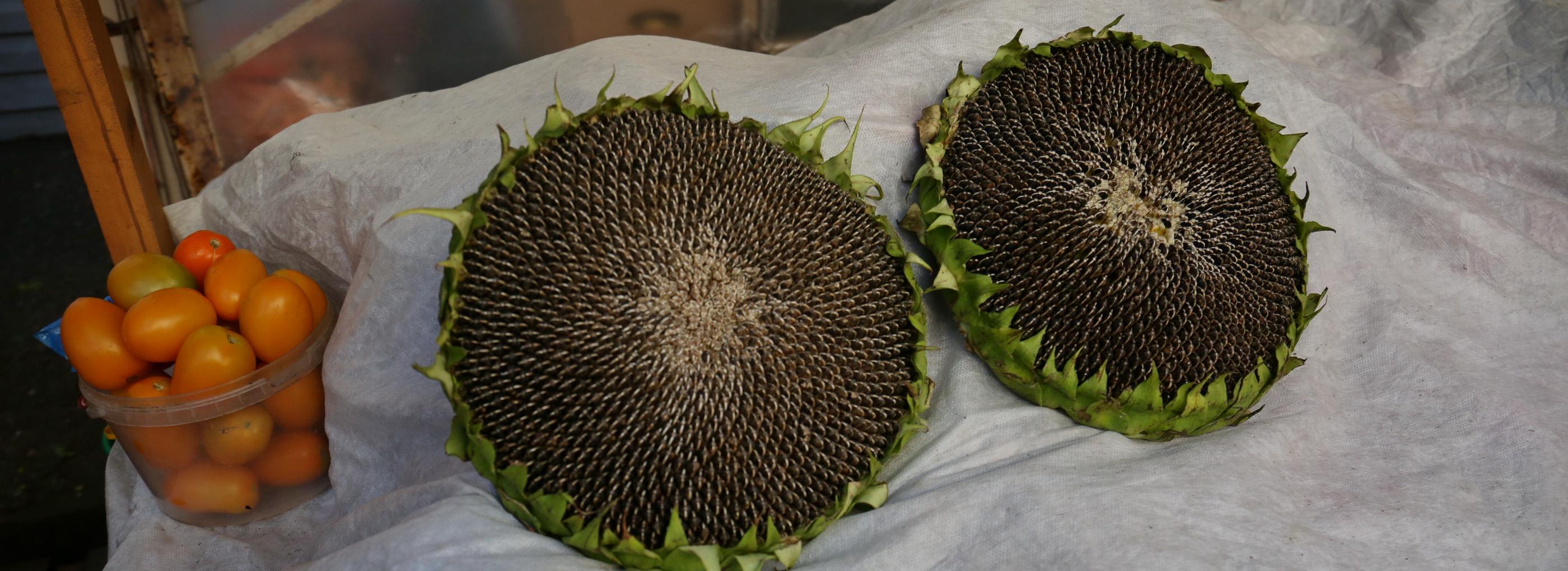 Детям до 2–3 лет давать орехи категорически нельзя — пульмонолог