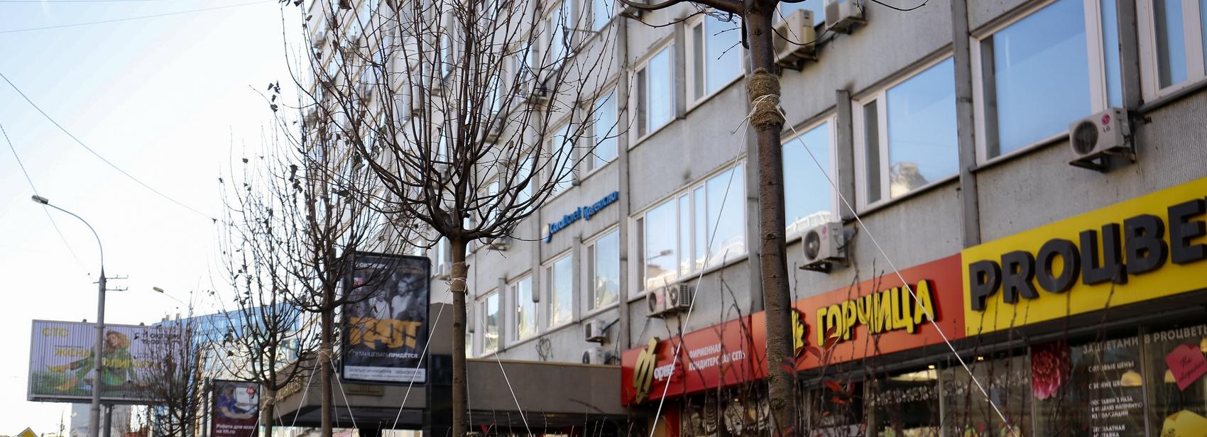 Липы и кустарники высадили на Вокзальной магистрали вдоль променада