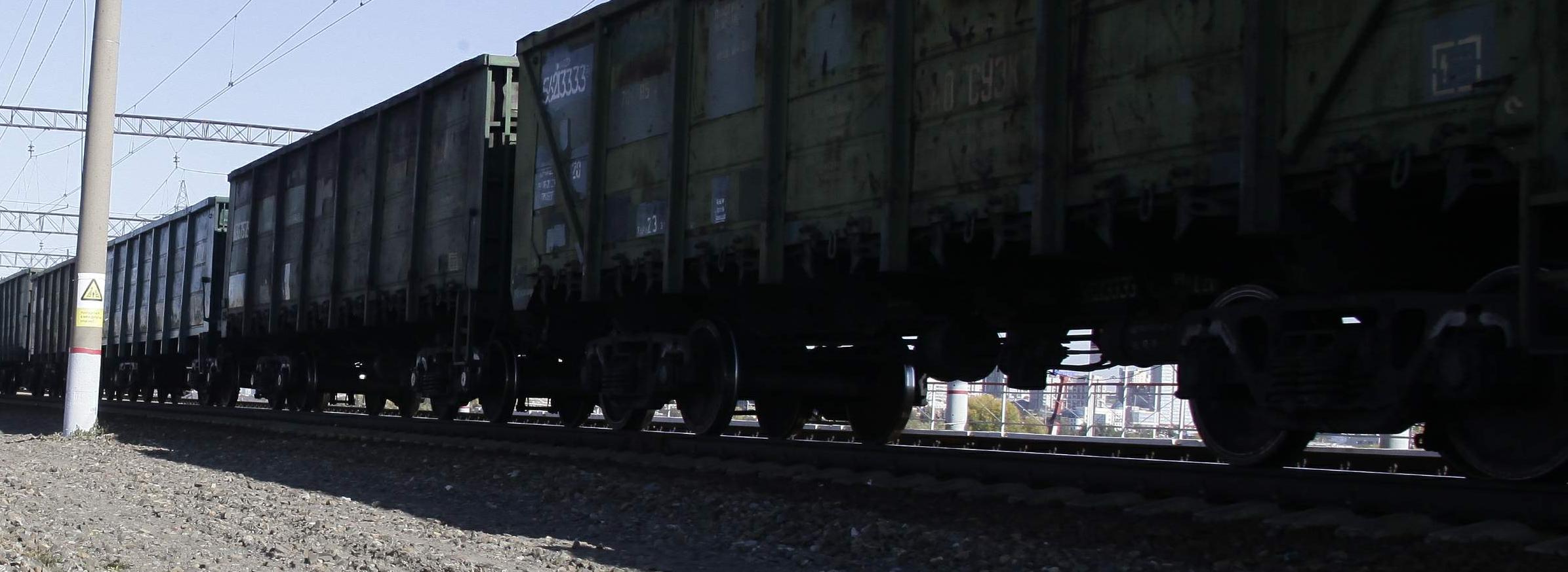 Женщина погибла под колёсами поезда на левом берегу