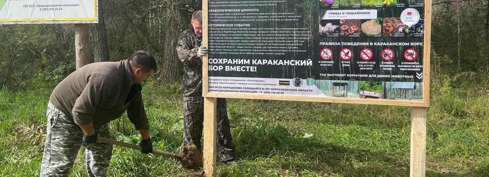 Теперь не заблудишься: в Караканском бору появились таблички-указатели