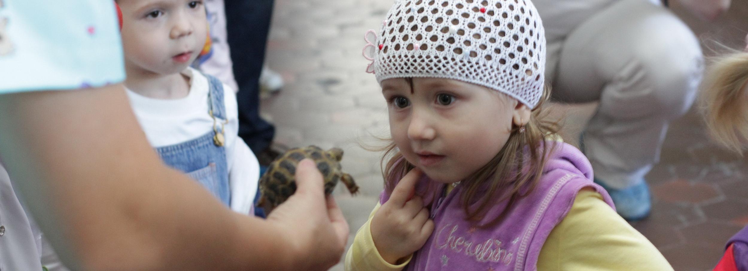 Как отличить настоящий благотворительный фонд от мошенников