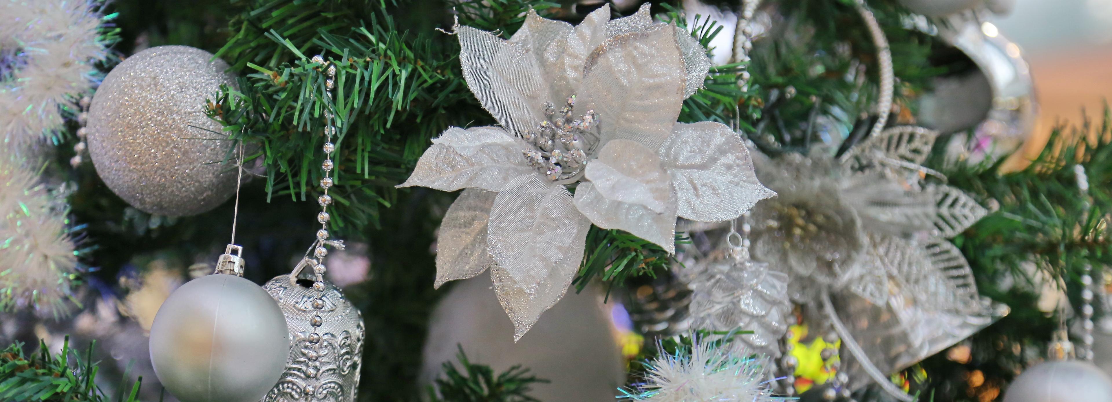 «Кремлёвскую ёлку» покажут новосибирским детям 31 декабря