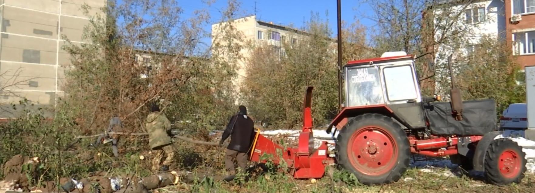 Опасные деревья убрали со школьного маршрута в Кировке