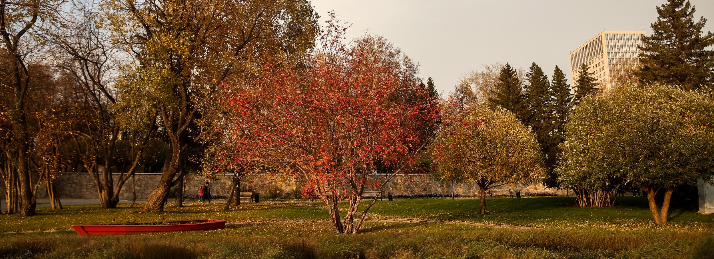 Новосибирская неделя: визит в Белоруссию, дефицит бензина и золотая осень