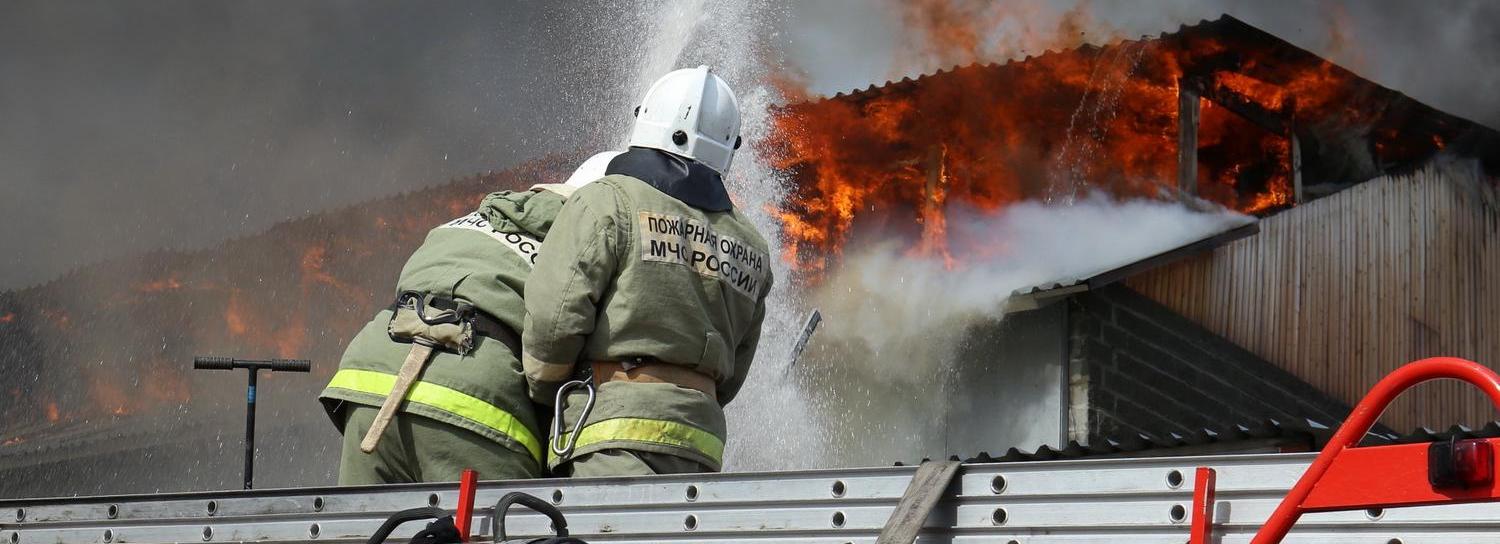 Пожарные спасли кошку из горящего барака в Новосибирске